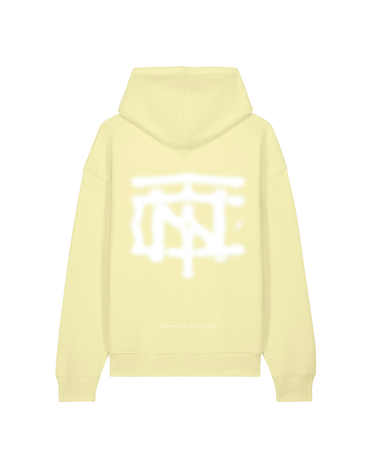 Vapor Logo Oversize Hoodie - Citrus Mist