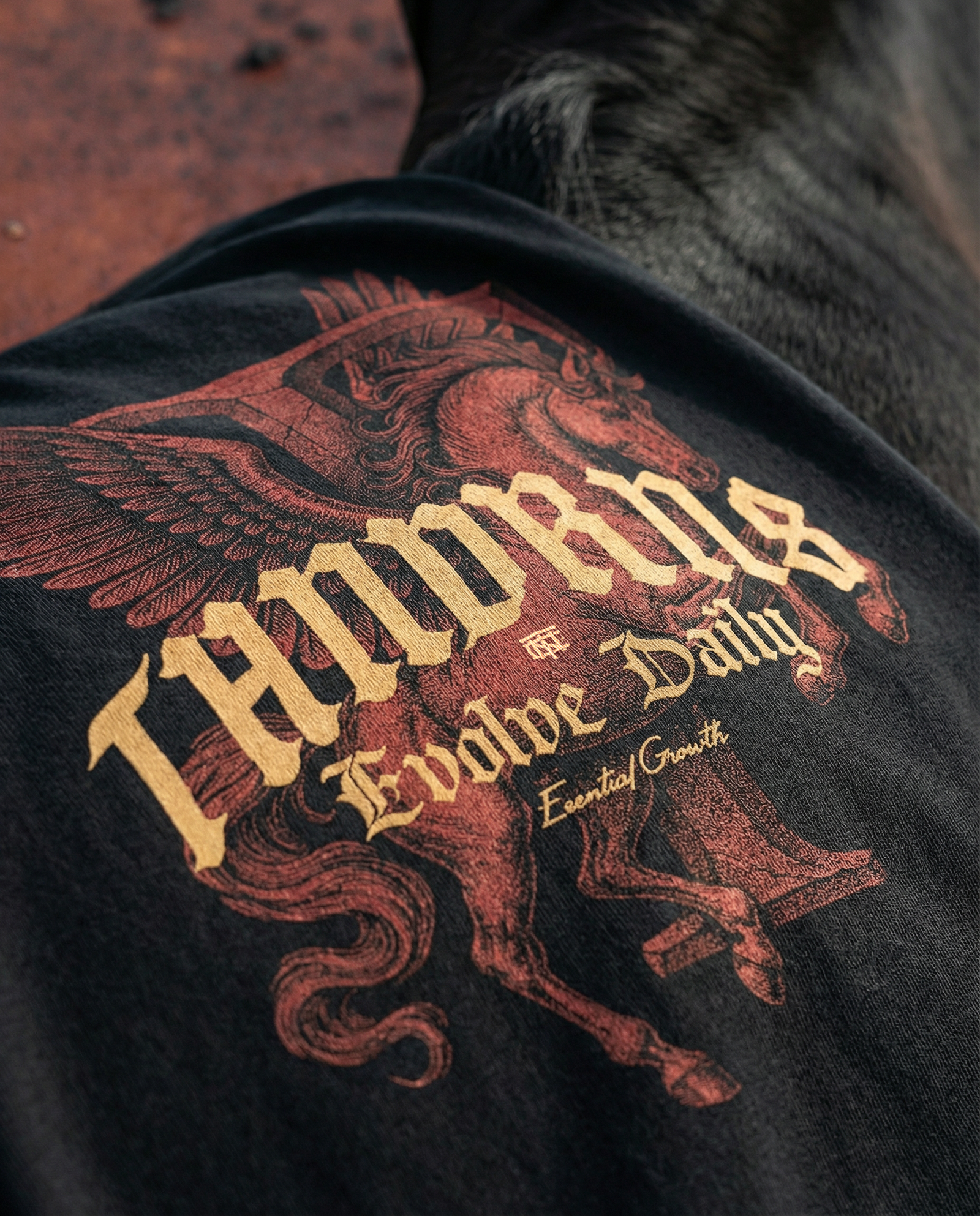 Pegasus Oversize Hoodie - Black — Vista 6

