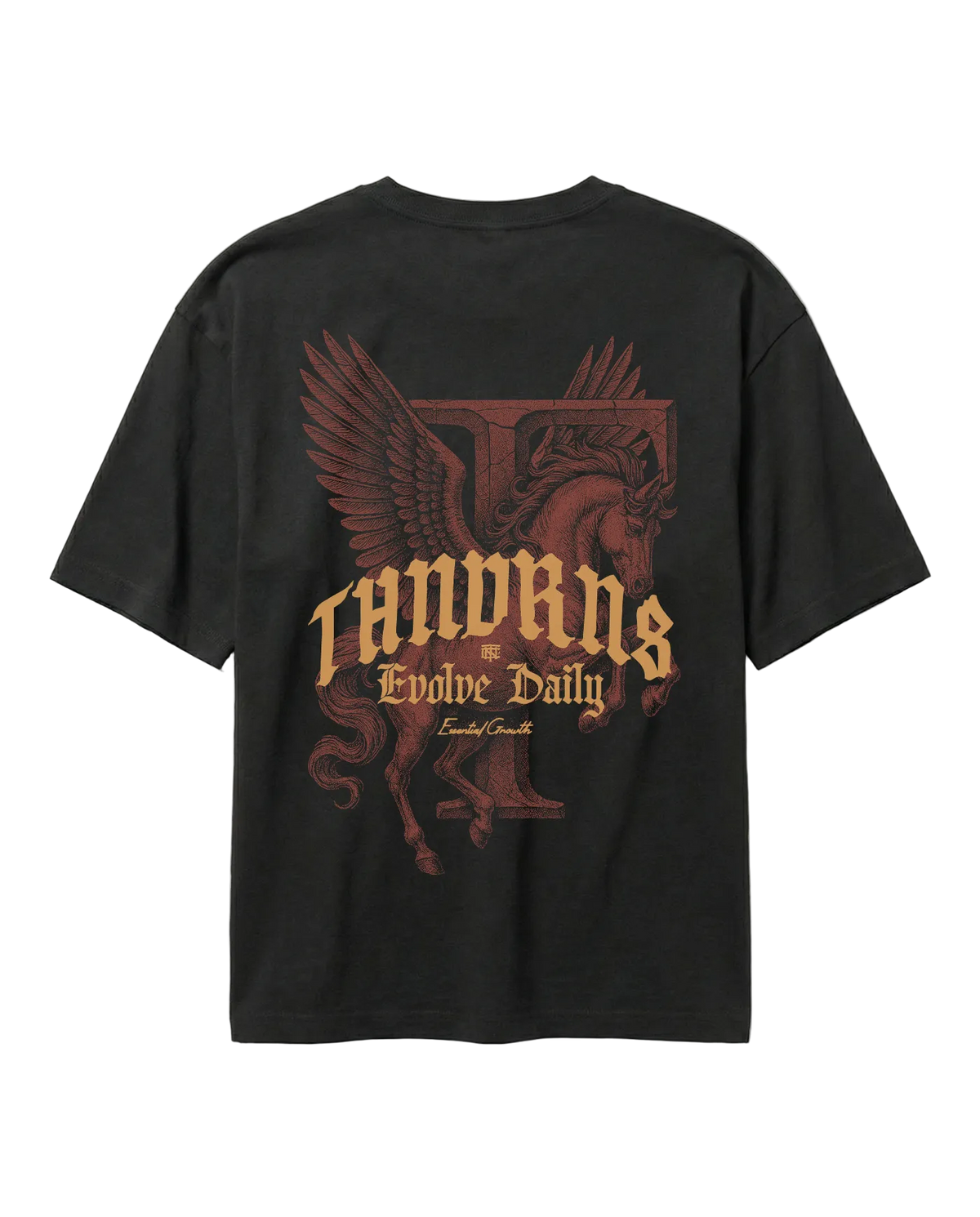 Pegasus Relaxed T-Shirt - Black — View 1
