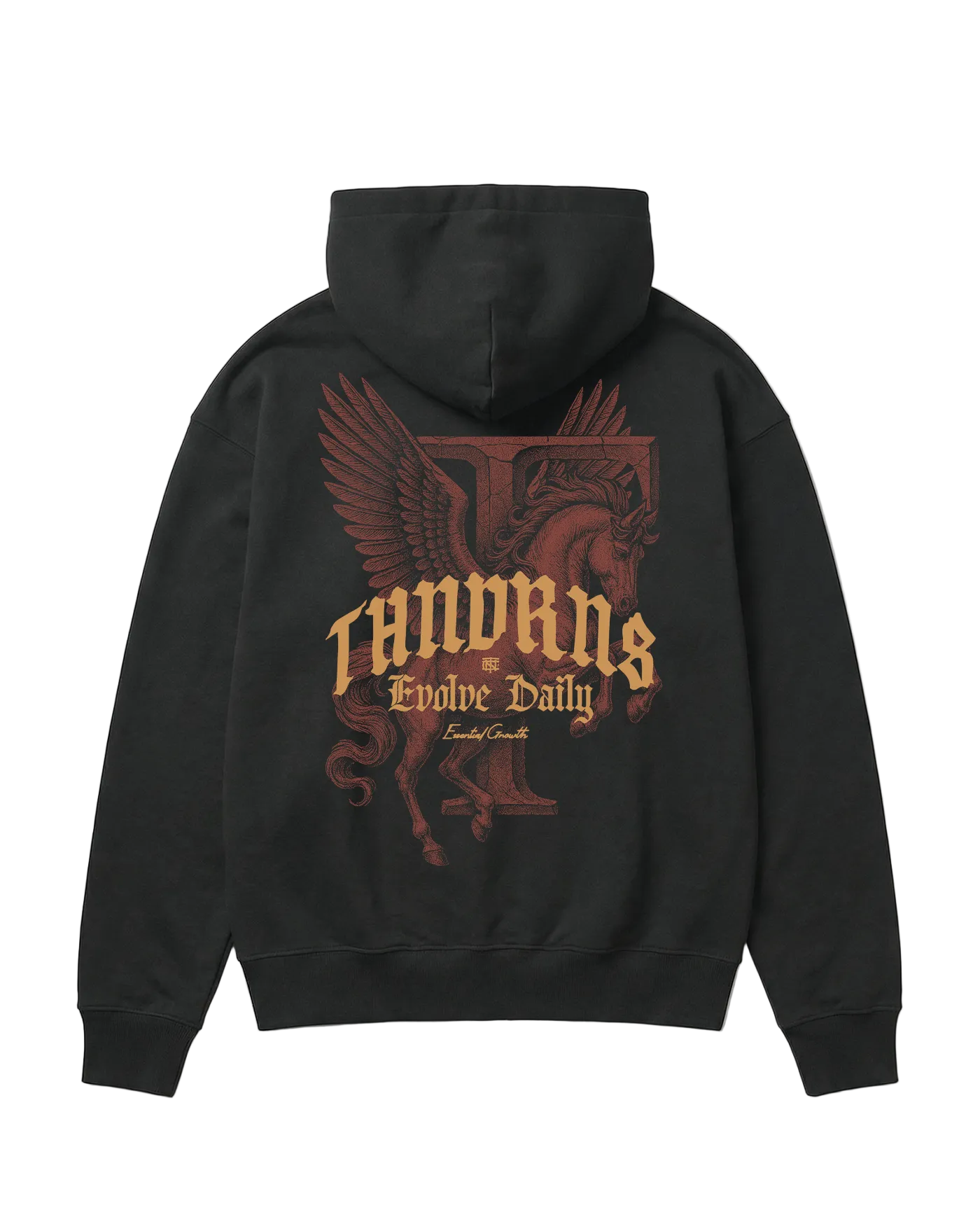 Pegasus Oversize Hoodie - Black — Vista 1
