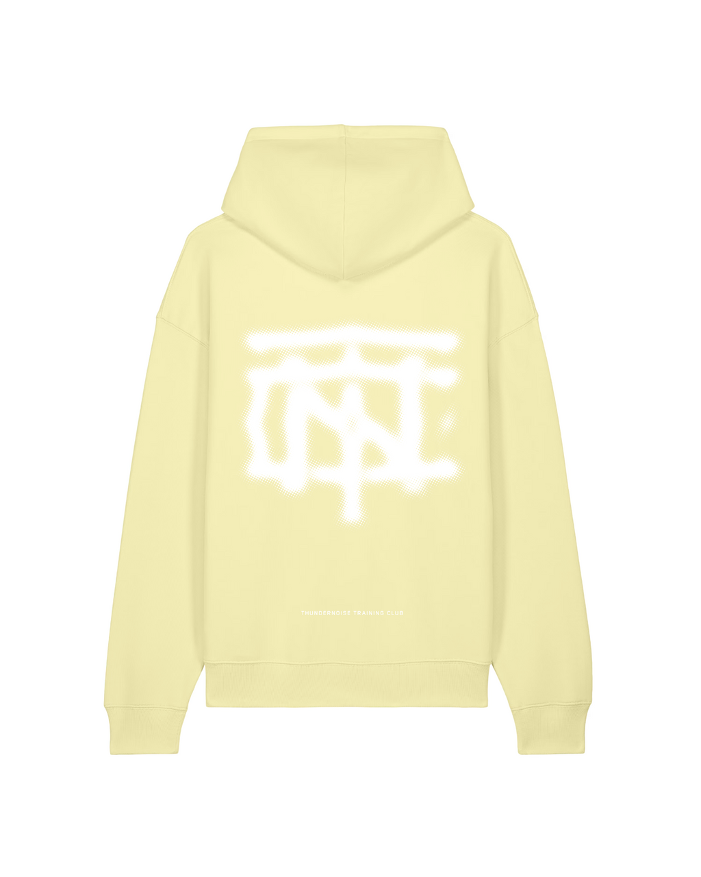 Vapor Logo Oversize Hoodie - Citrus Mist